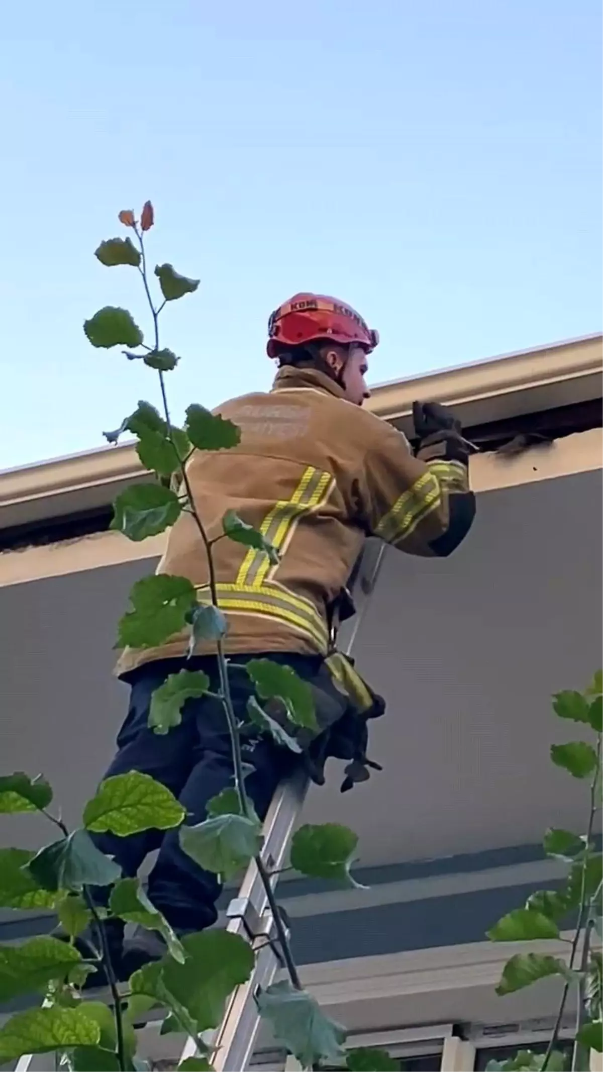 İnegöl\'de Ebabil Kuşu Kurtarıldı