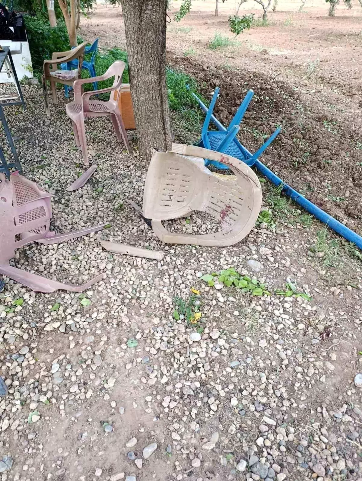 Aile için infaz! En yakınları gözaltına alındı