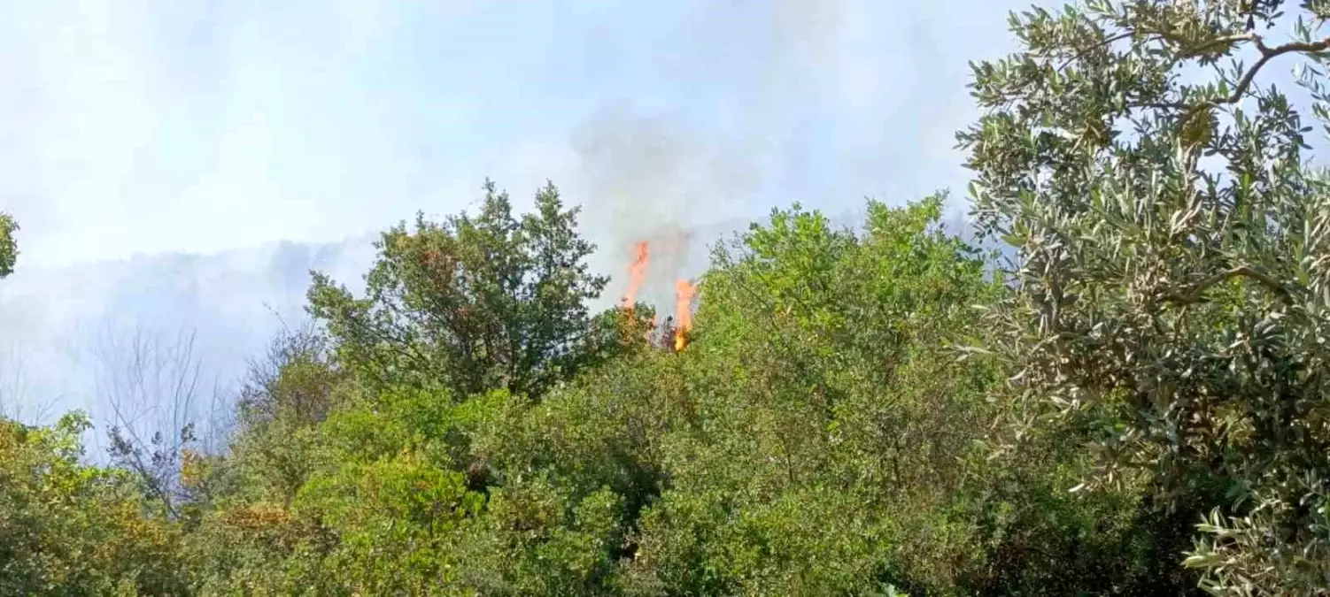 Orhangazi\'de Tarla Yangınına Müdahale