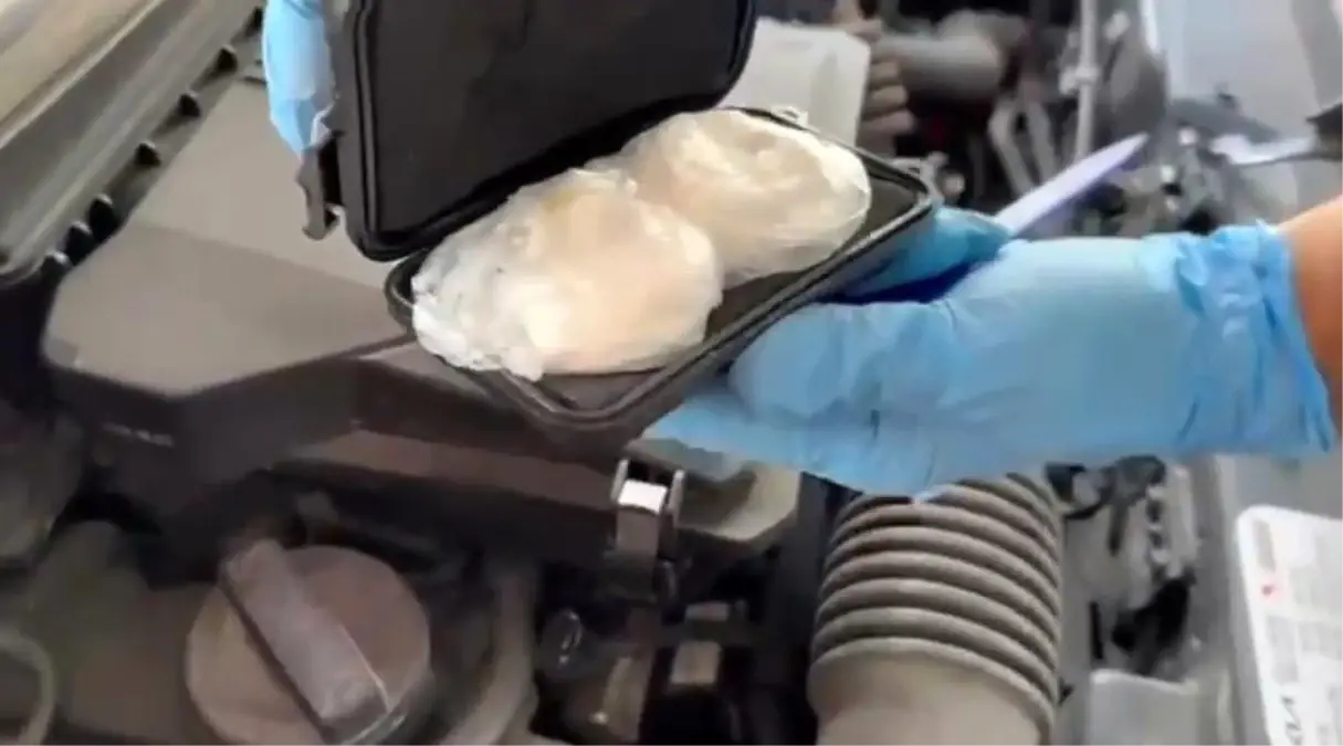 Samsun\'da Narkotik Köpek Operasyonu