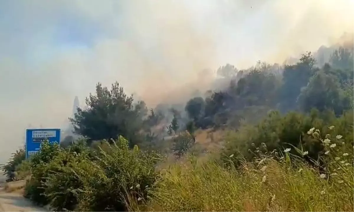 Söke\'de Zirai Yangın Ormana Sıçradı