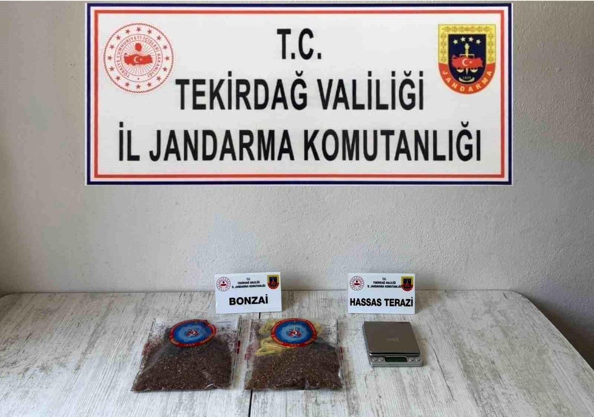 Tekirdağ\'da Uyuşturucu Operasyonları