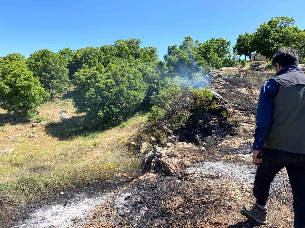 Tunceli\'de yangın kontrol altına alındı