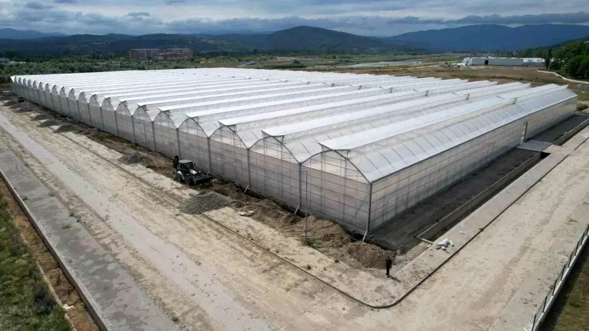 Zonguldak\'ta Sera Tarım Bölgesi Faaliyete Geçti