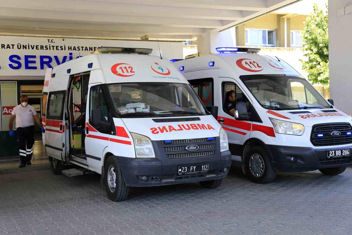 Kene Isırdı, Adam Hastaneye Kaldırıldı
