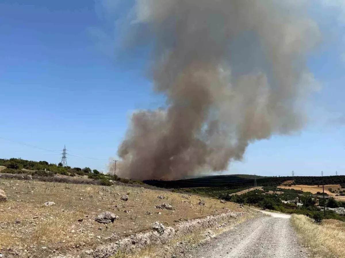 Çanakkale\'de Tarım Arazisinde Yangın