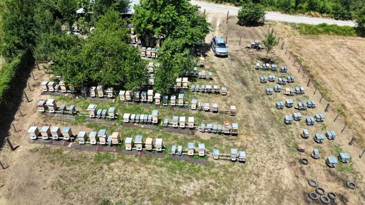 Erol Karakaş: Arıcılığı Geçim Kaynağı Yaptı