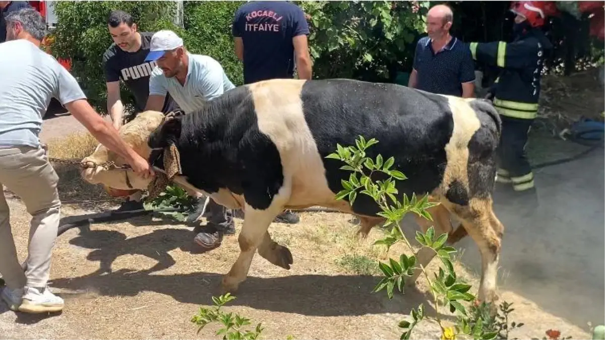 Başiskele\'de Sigara İzmaridi Yangın Çıkardı