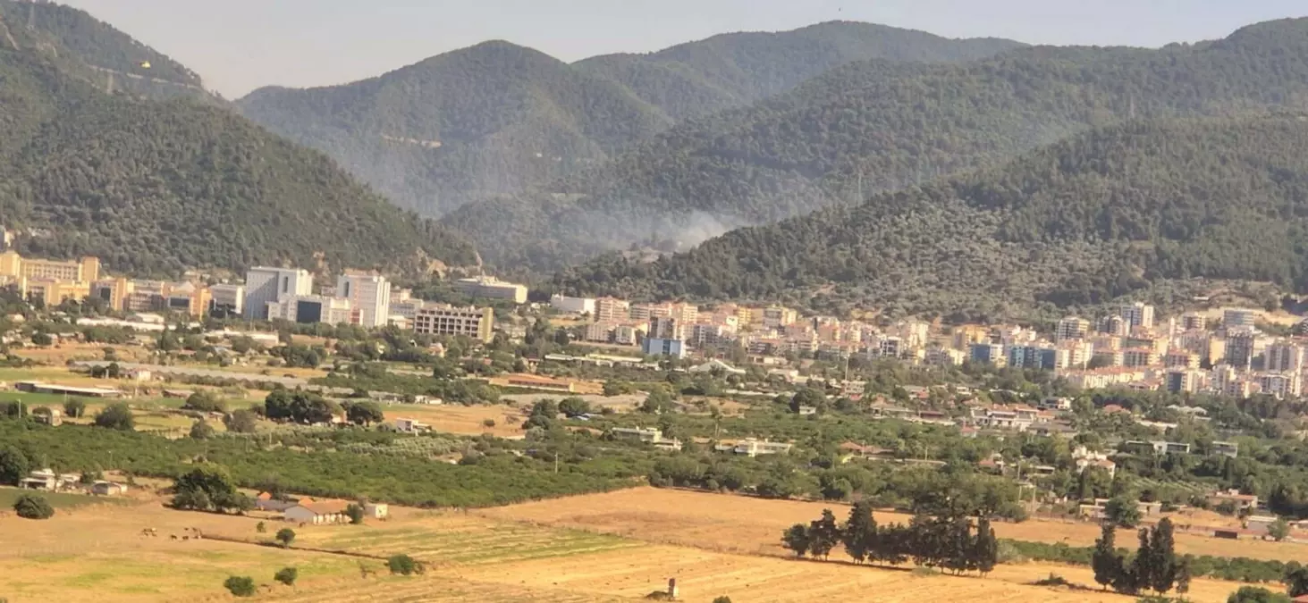 İzmir\'de Orman Yangını