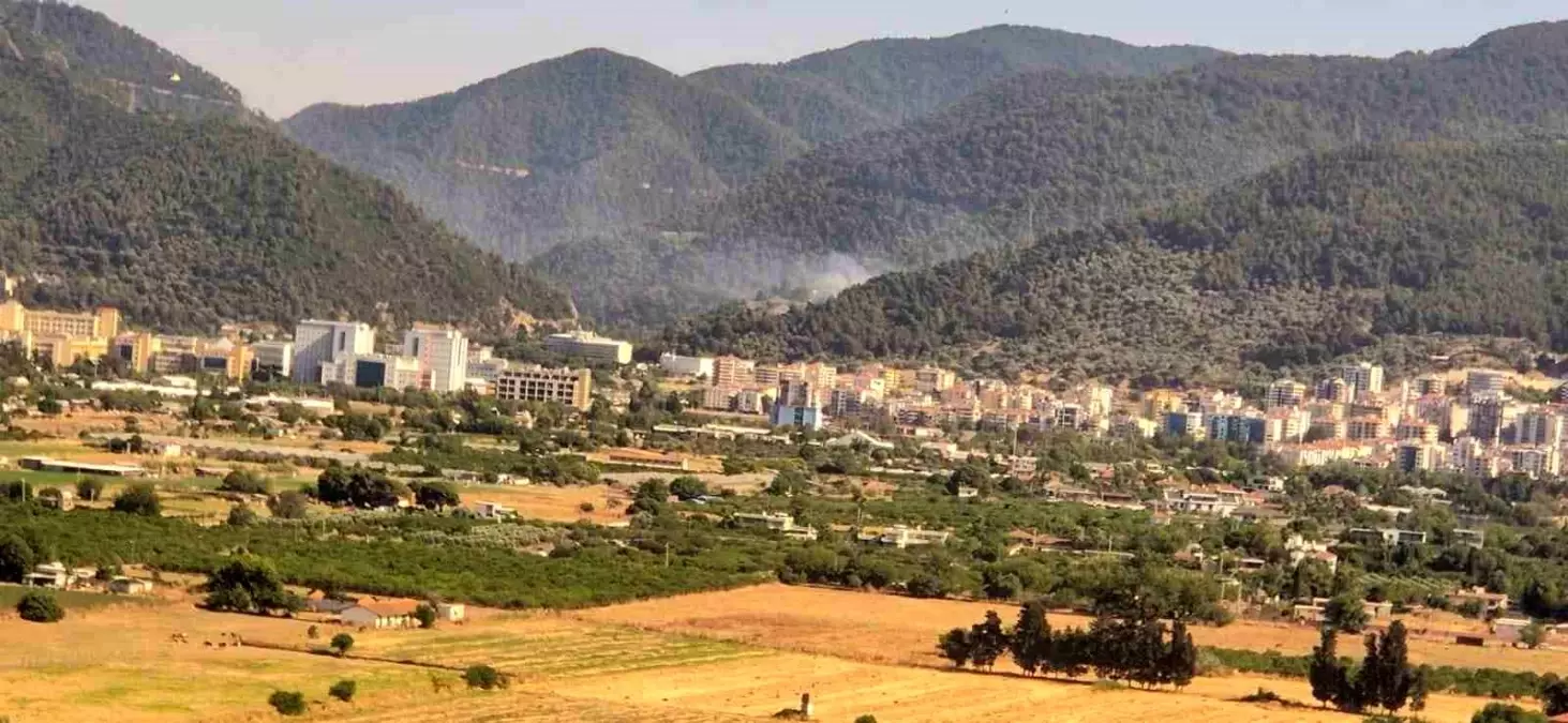 İzmir\'in iki ilçesinde orman yangını çıktı
