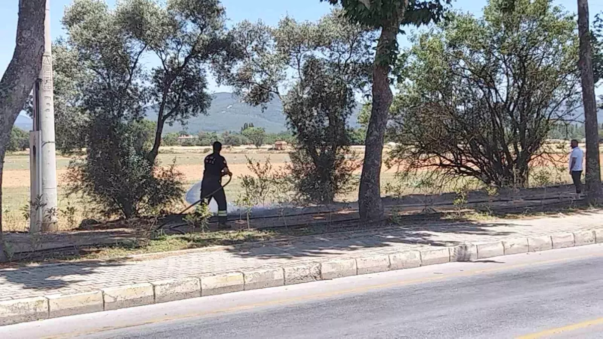 Muğla\'da Trafo Yanında Yangın Çıktı, İtfaiye Zamanında Müdahale Etti