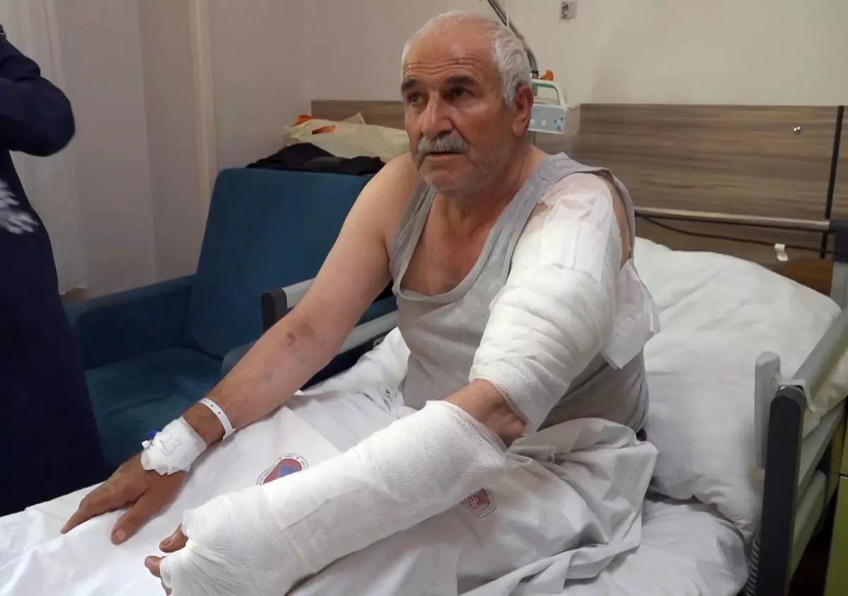Kurt Saldırısında Yaralanan Tarım İşçisi Hastaneye Kaldırıldı