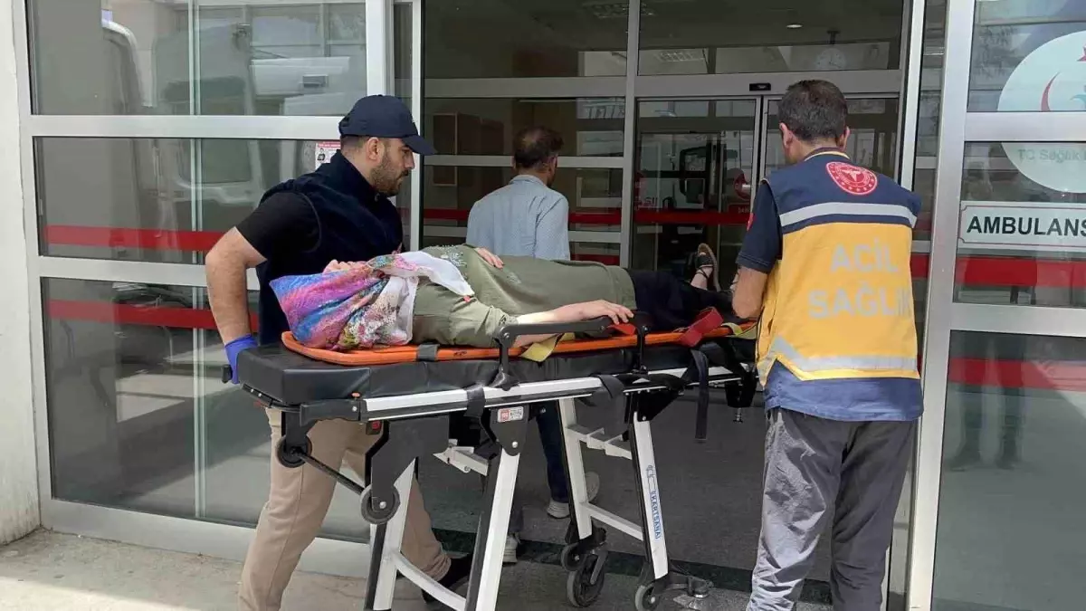 Adıyaman\'da Freni Boşalan Araç Şarampole Devrildi