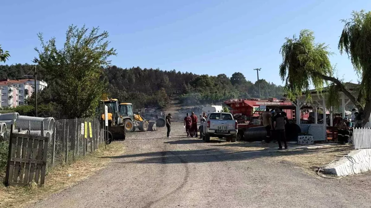 Sakarya\'da Orman Yangını Kontrol Altına Alındı
