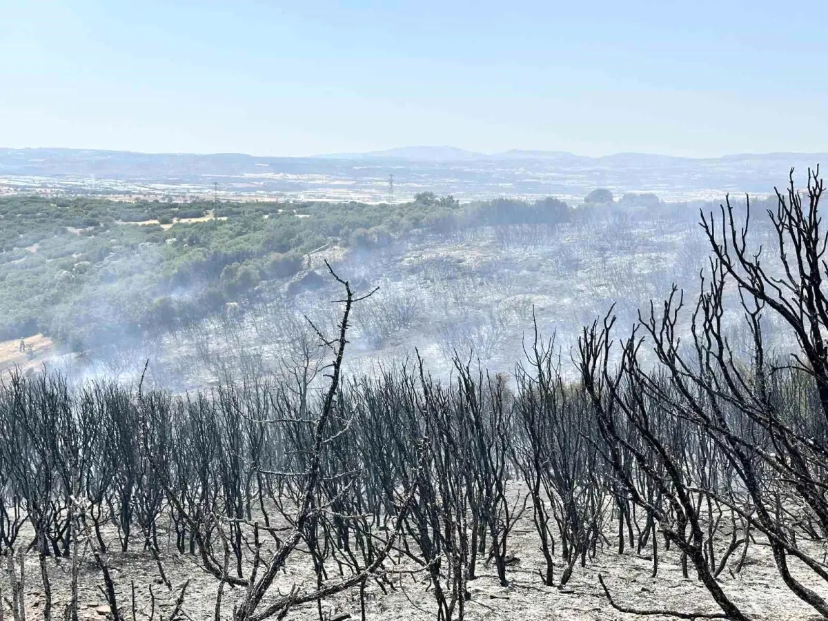 Uşak\'ta Tarım Arazisinde Yangın