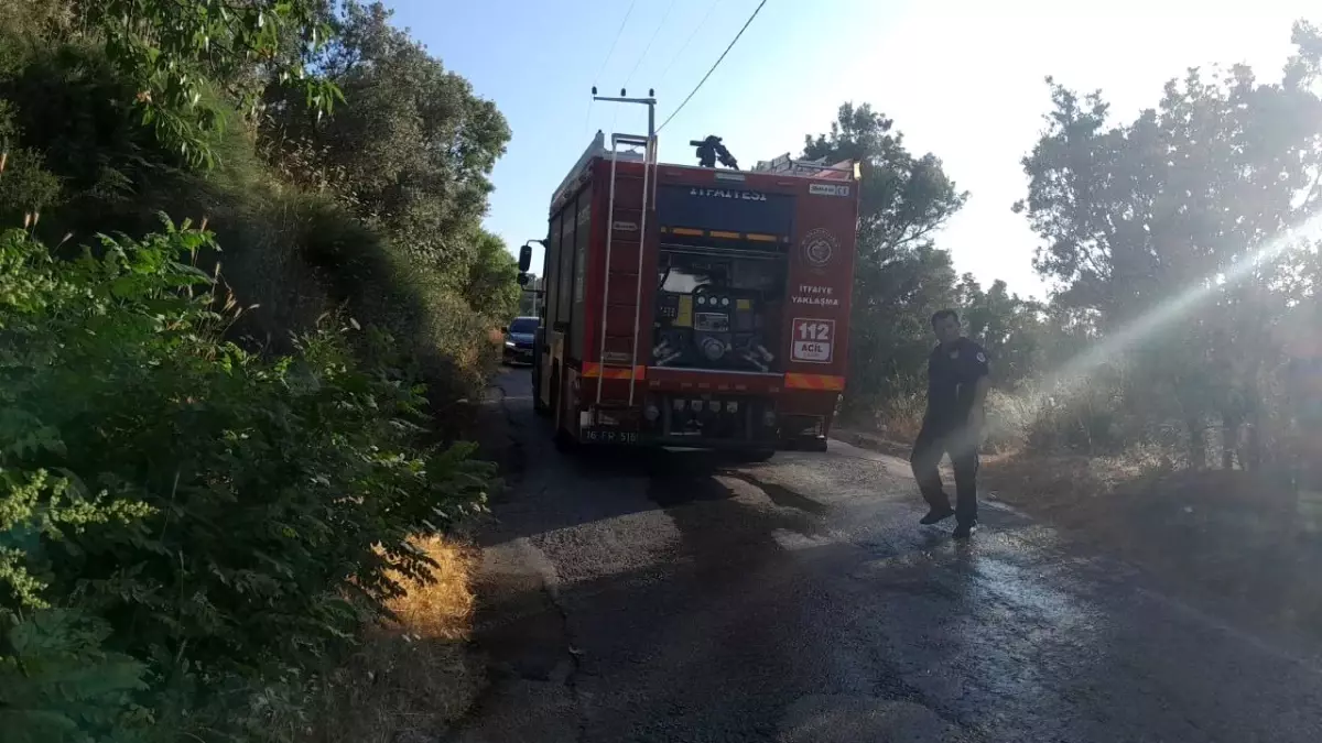 Bursa\'da Karga Yangına Neden Oldu