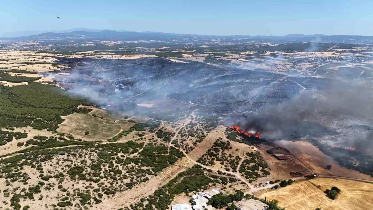 Çanakkale\'de Büyük Yangın: 205 Hektar Zarar!