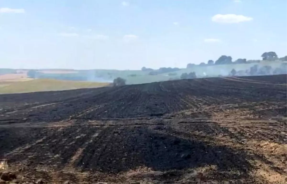 Tekirdağ\'da Tarla Yangını: 15 Dönüm Zarar Gördü