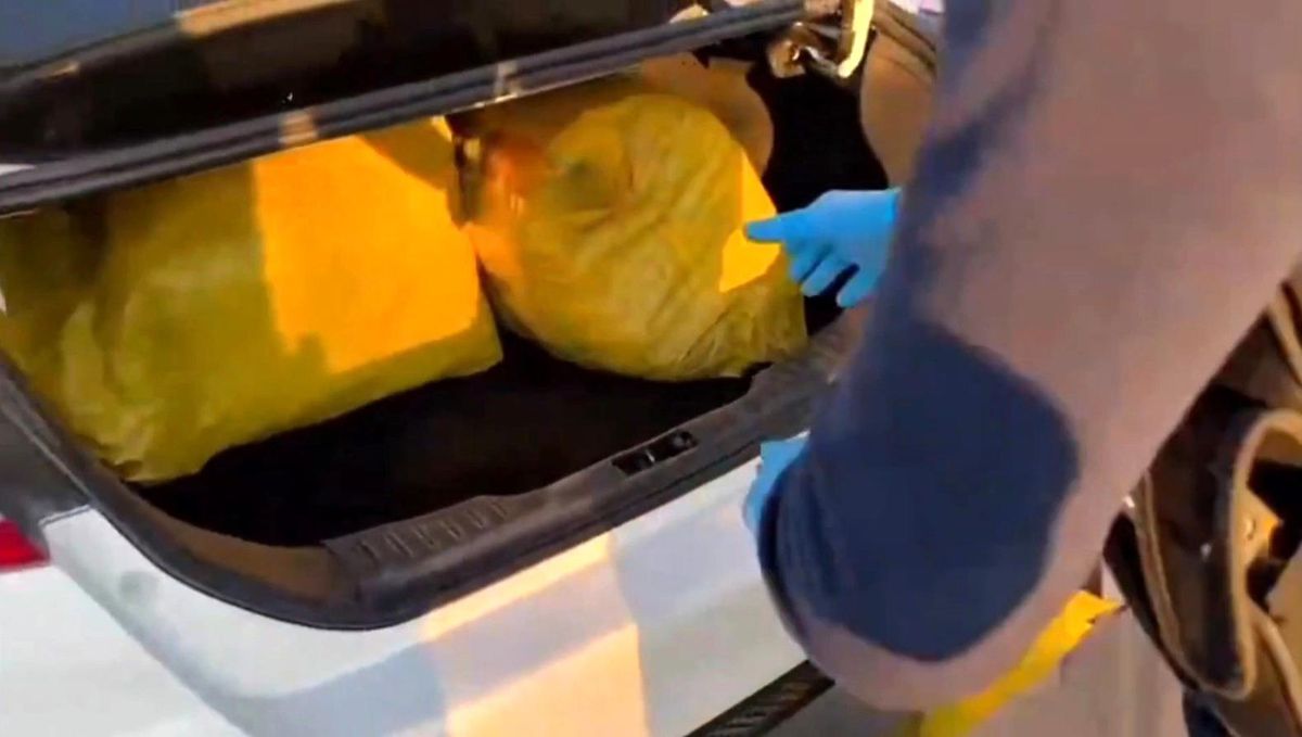 Şanlıurfa\'da 35 Kilogram Skunk Ele Geçirildi