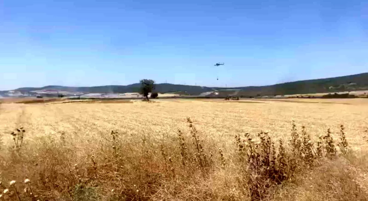Biga\'da Tarım Arazisinde Yangın