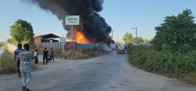 İzmir'de yine orman yangını