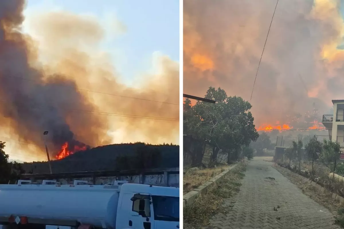 İzmir\'de yine orman yangını: Bir kişi gözaltına alındı