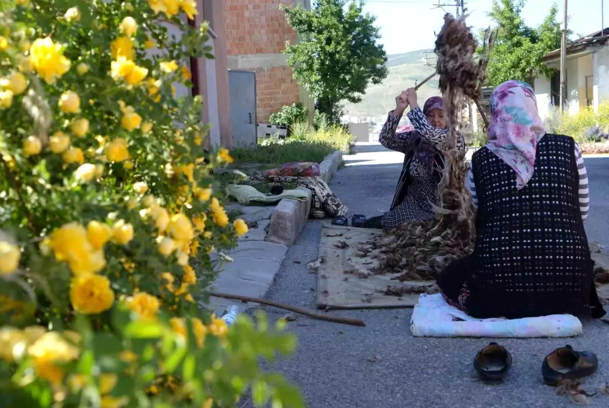 Bayburtlu Kadınlar Yün Çırpma Geleneğini Yaşatıyor