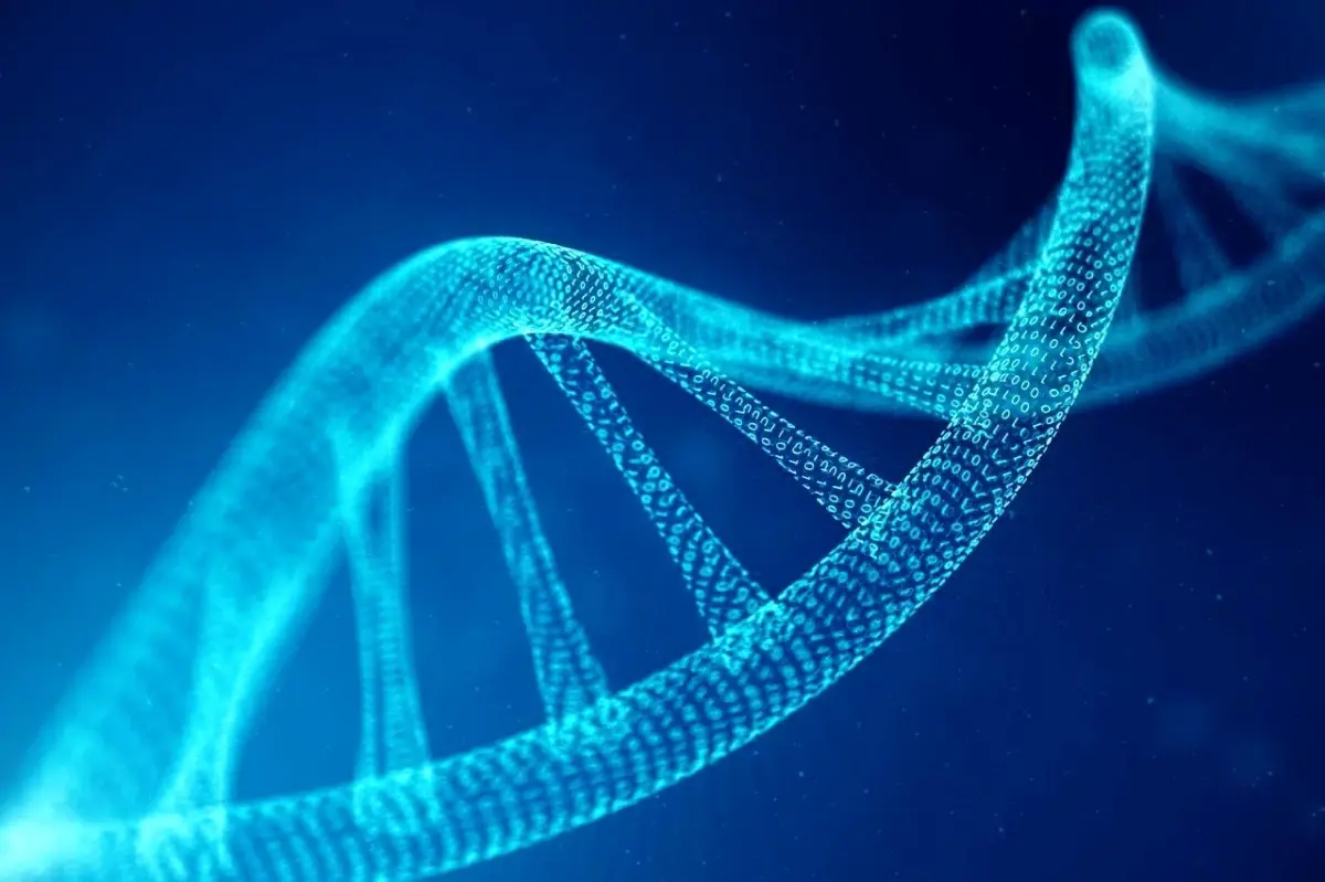 İnsan DNA\'sı Üretme Projesi Başlatıldı