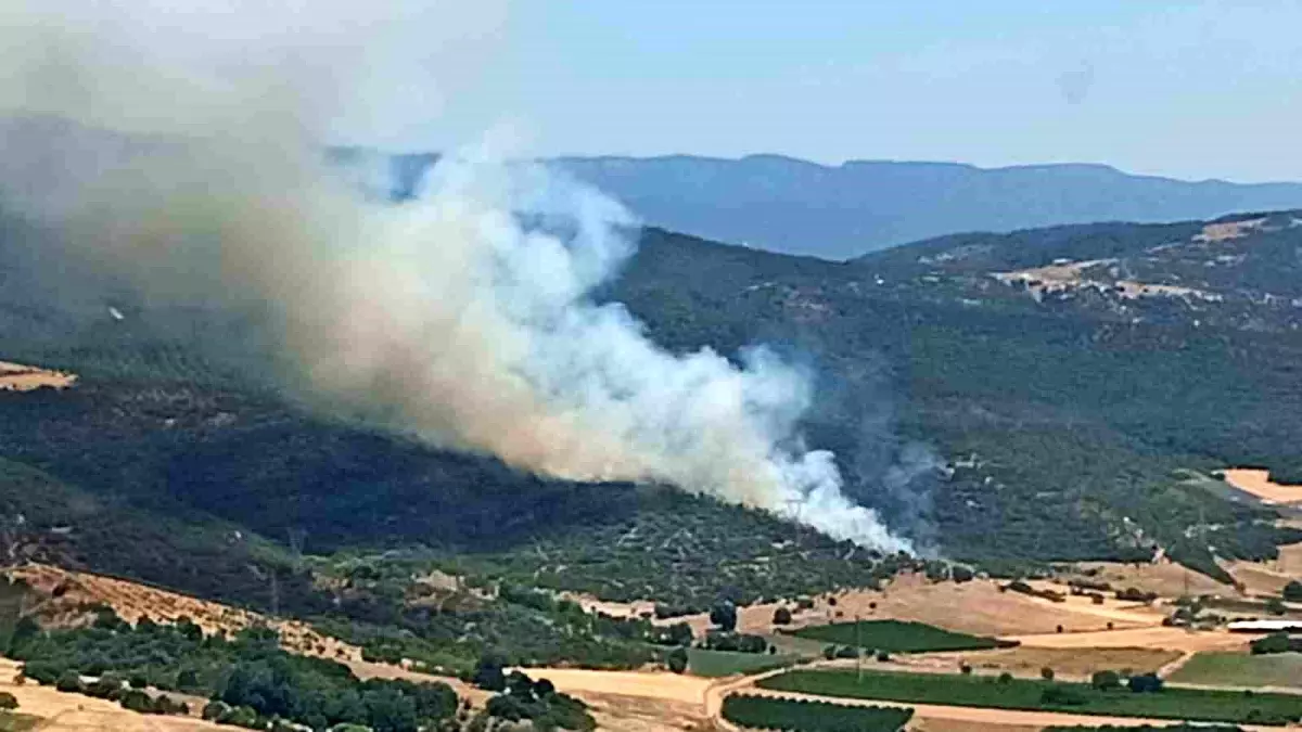 Bursa\'da Orman Yangını Kontrol Altına Alındı