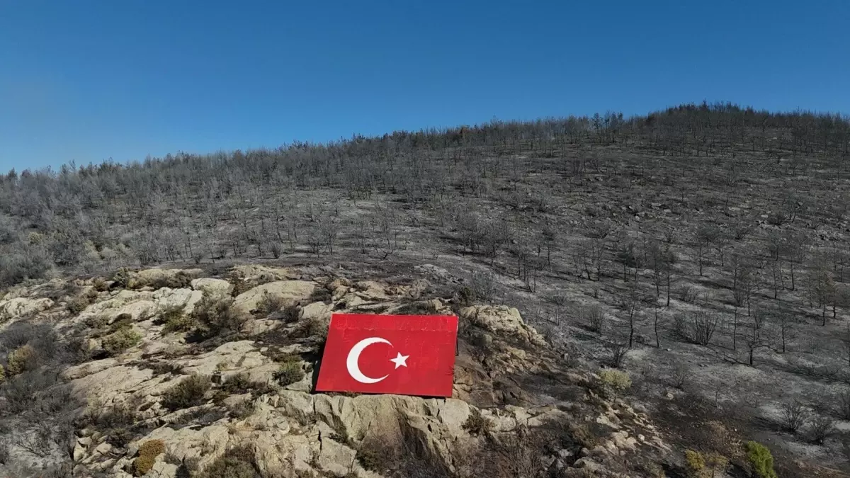 İzmir\'de Yangın: 150 Hektar Zarar Görüldü