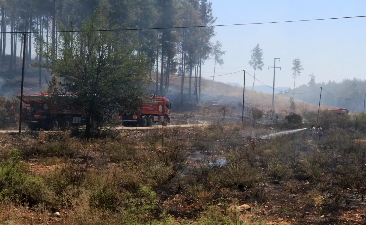 Antalya\'da 5 Orman Yangını