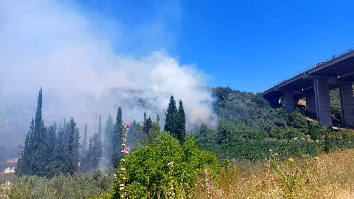 Bursa\'da Orman Yangını Büyüyor