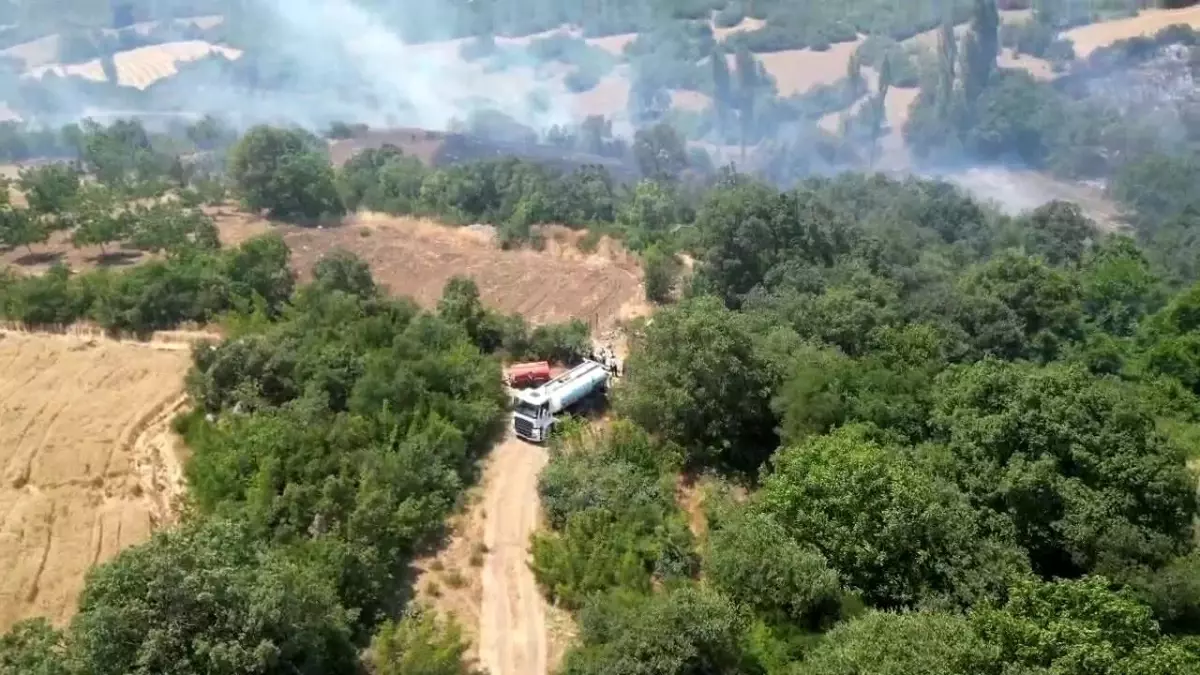 İnegöl\'de Orman Yangını Kontrol Altına Alındı