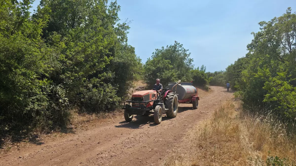 Bursa\'da Orman Yangını!