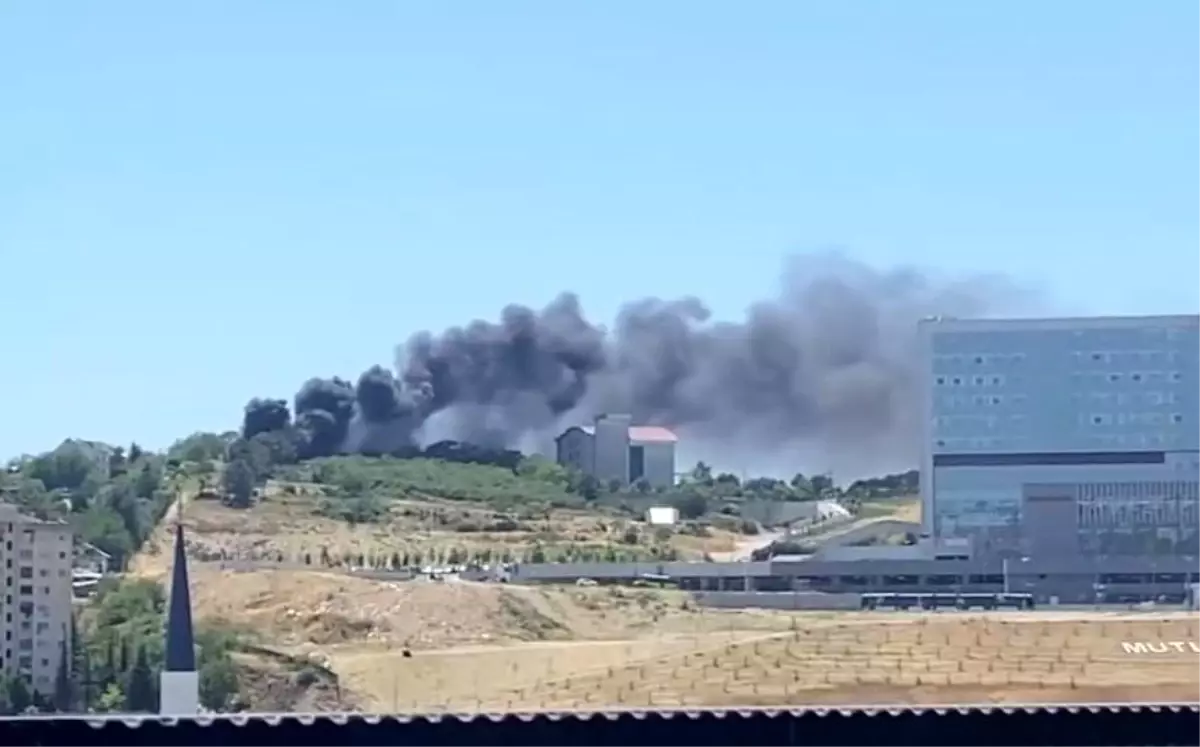 İzmit\'te Ağaçlık Alanda Yangın