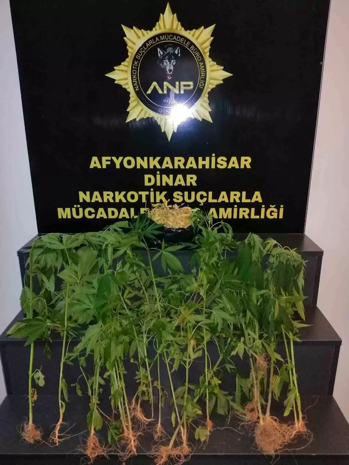 Afyonkarahisar\'da Uyuşturucu Baskını