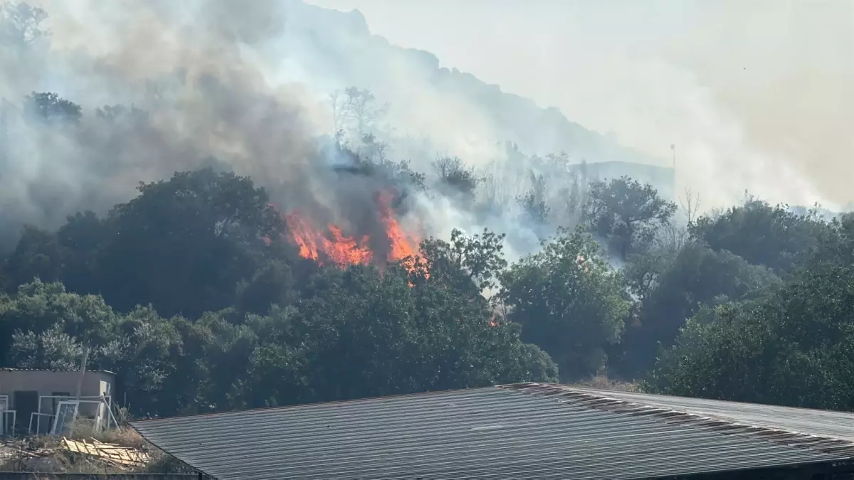 Bodrum\'da Maki Yangını: Hava ve Karadan Müdahale