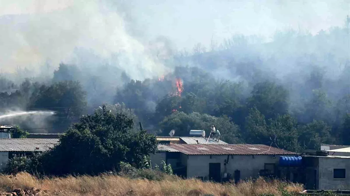 Bodrum\'da Yangın Paniği
