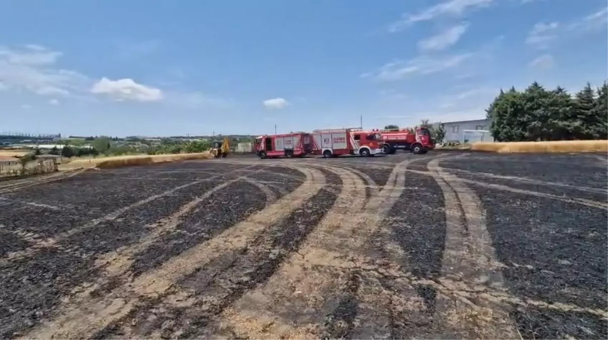 Çatalca\'da Buğday Tarlasındaki Yangın Söndürüldü