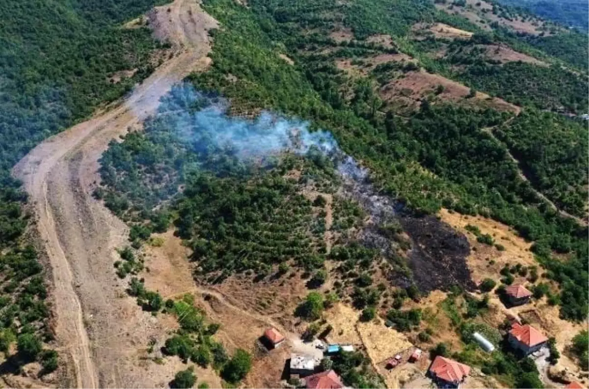 Zonguldak\'ta Orman Yangını