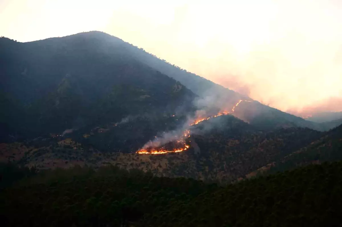 Kahramanmaraş\'ta Yangınla Mücadele 26 Saattir Sürüyor