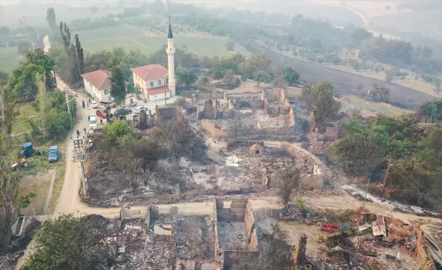 Sakarya'dan Bilecik'e sıçrayan yangında korkunç görüntüler