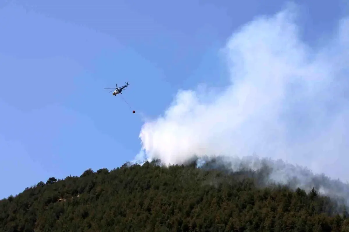 Kahramanmaraş\'ta Orman Yangını