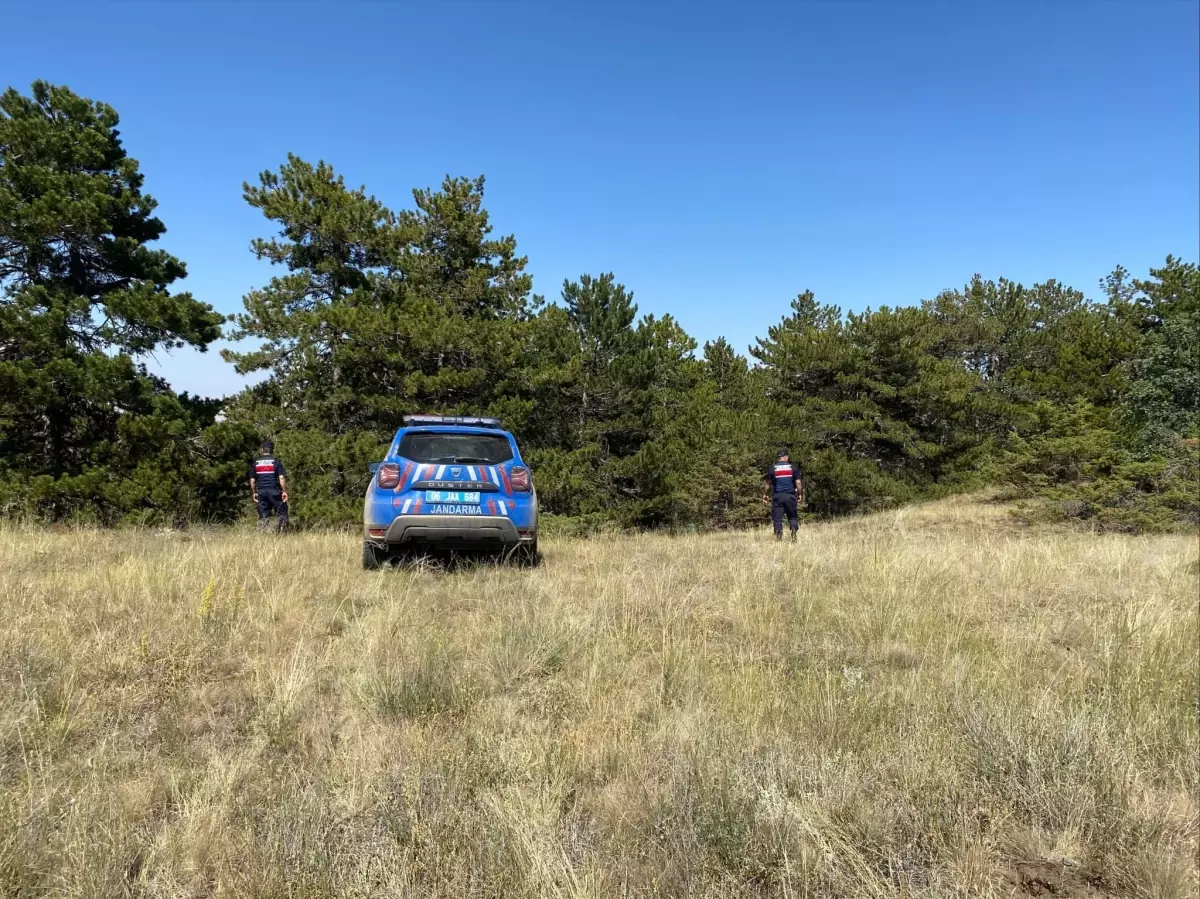 Ankara\'da Orman Yangınlarıyla Mücadele