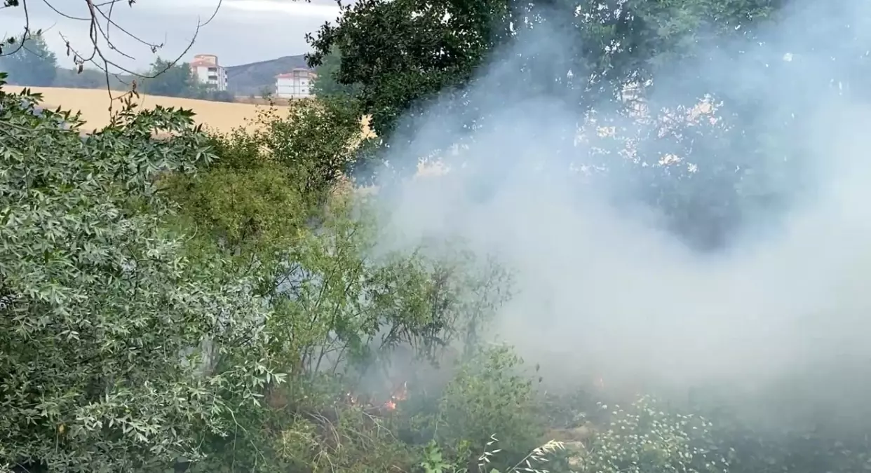 Tokat\'ta Tarlada Yangın Paniği
