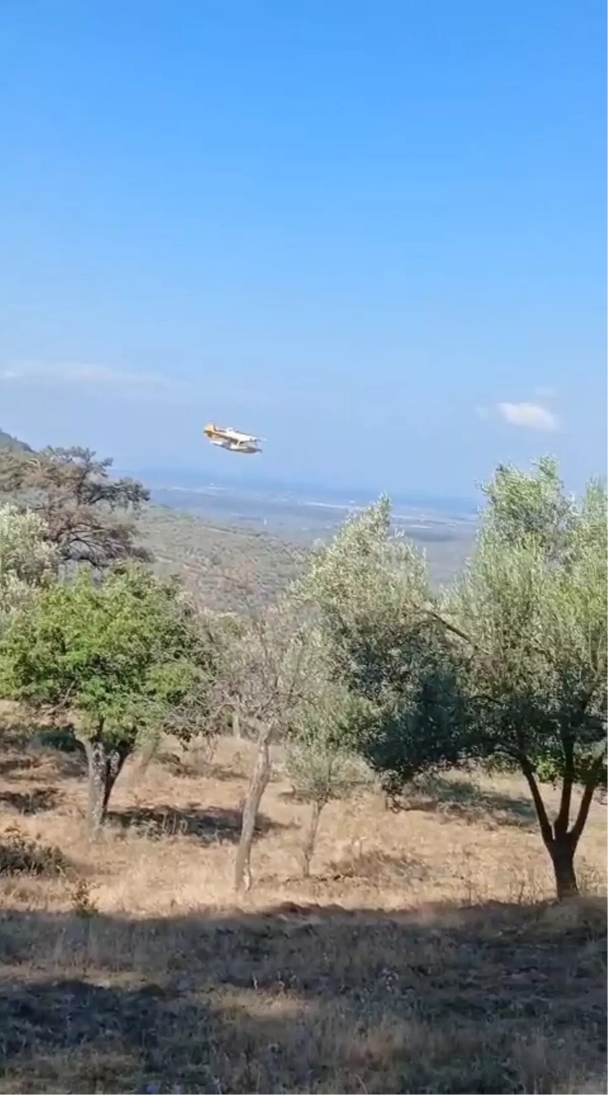 Havran\'da Orman Yangını 24 Saatte Kontrol Altına Alındı