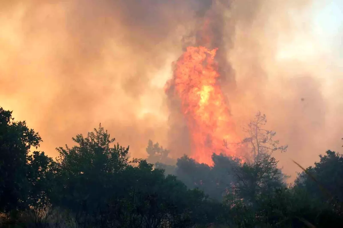Antalya\'da Çıkan Yangın Kontrol Altına Alındı