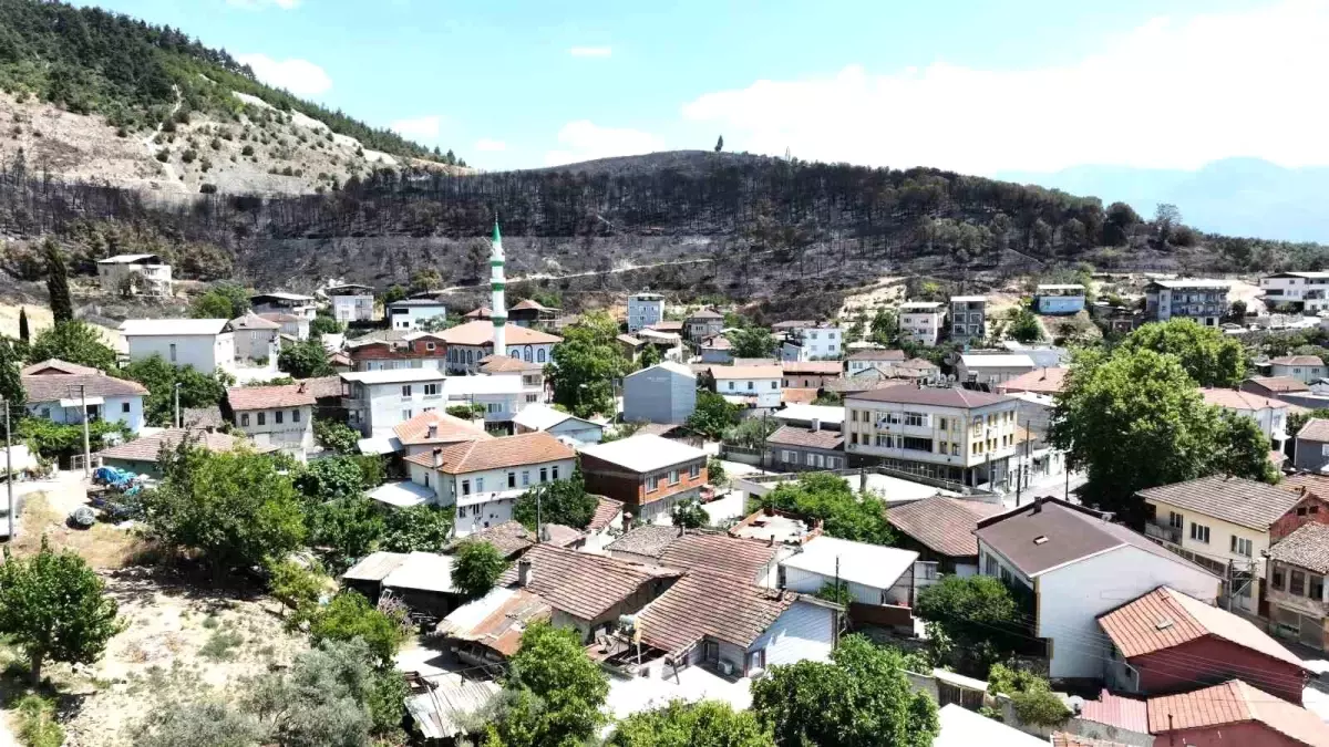 Bursa\'da Orman Yangını Can ve Mal Kaybını Önledi