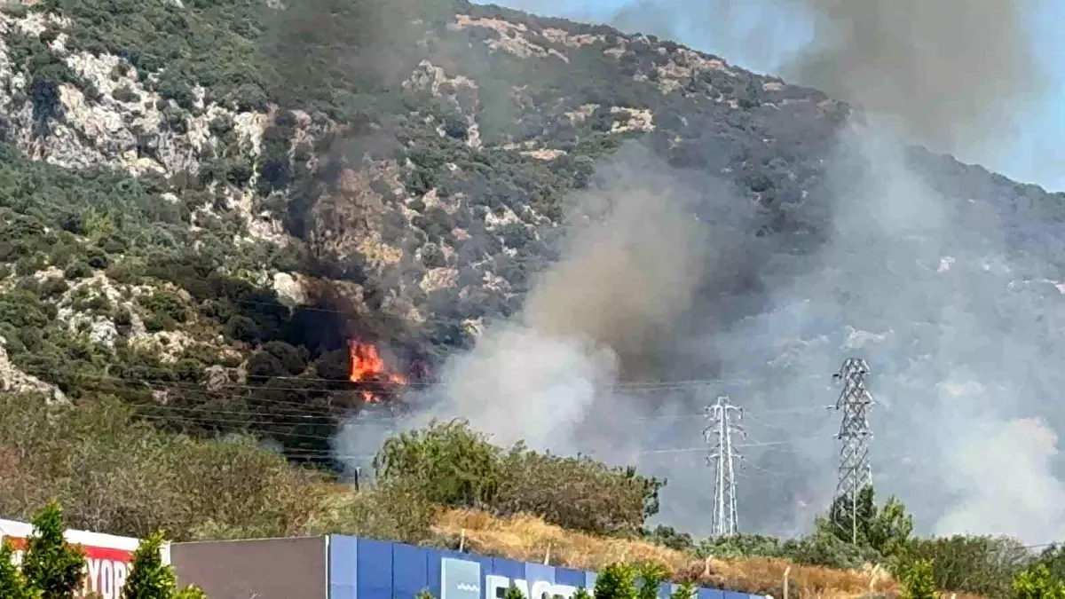 Bodrum\'da Orman Yangını Kontrol Altına Alınmaya Çalışılıyor