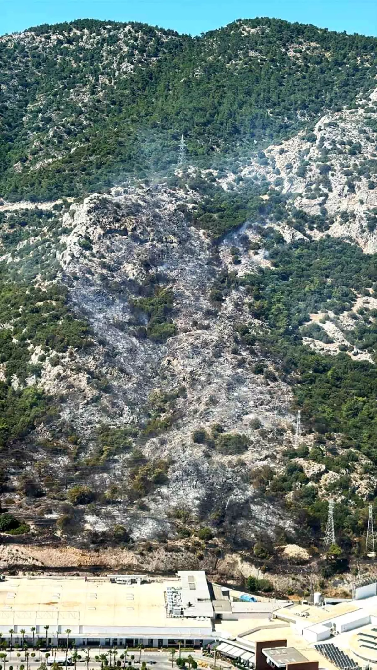 Bodrum\'da Orman Yangını Kontrol Altında